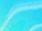 Free PowerPoint Backgrounds