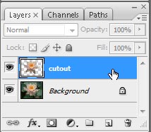 New layer 